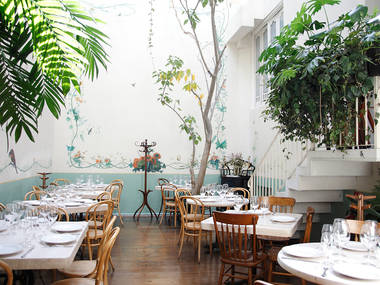 10 restaurants not to miss in Mexico City: rosetta